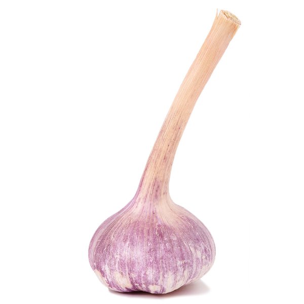 Sicilian Garlic